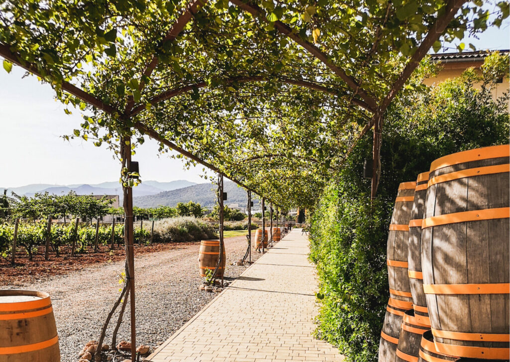 Weingut oder Bodega als Location für Event auf Mallorca