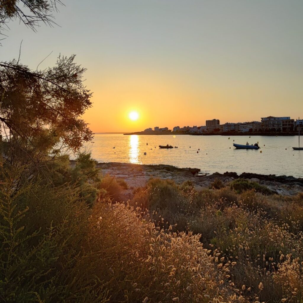 Workation Mallorca®